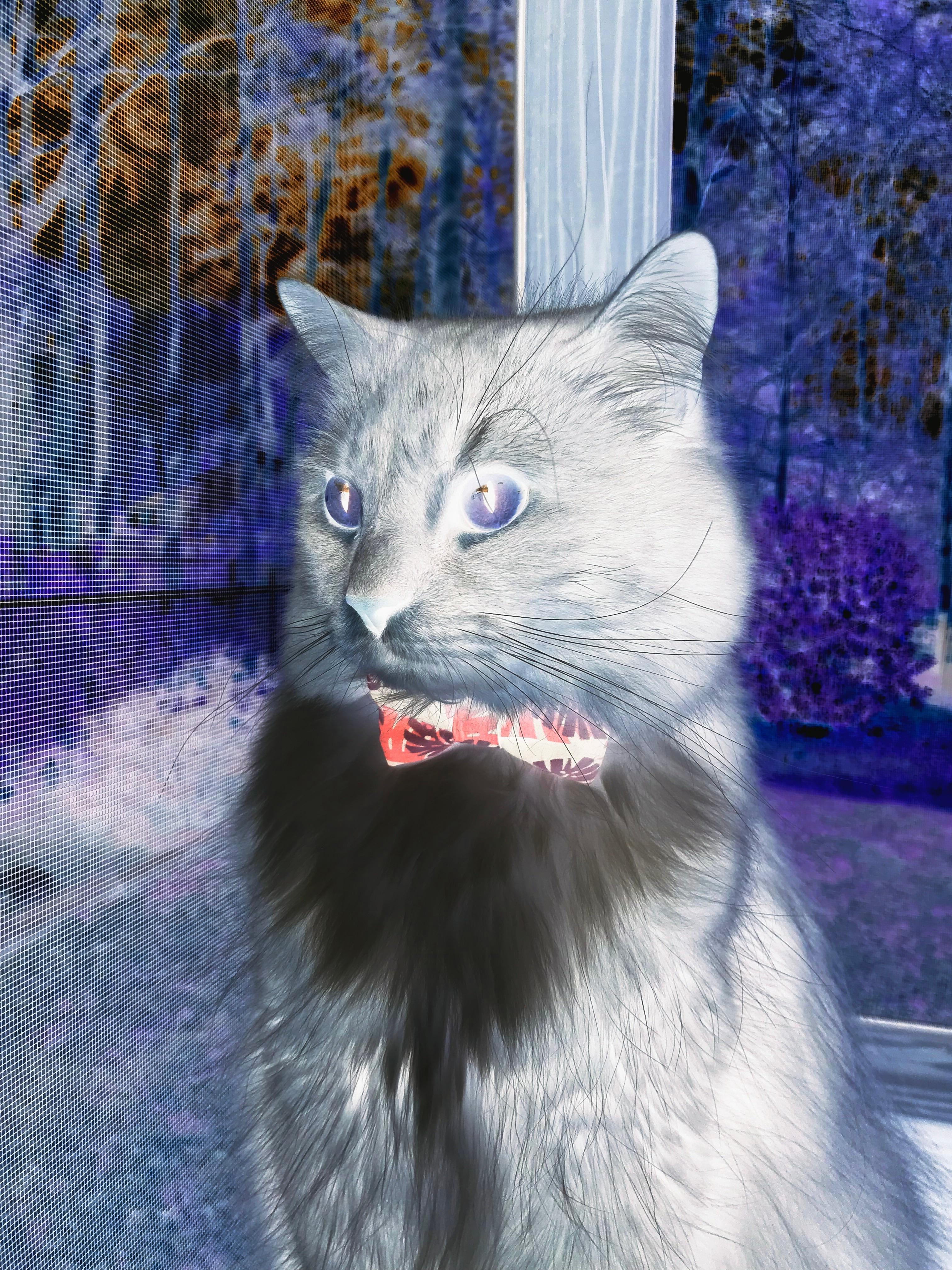 爱游戏体育app-《海外战队纷纷来华：国际电竞交流新平台》，pubg国外战队