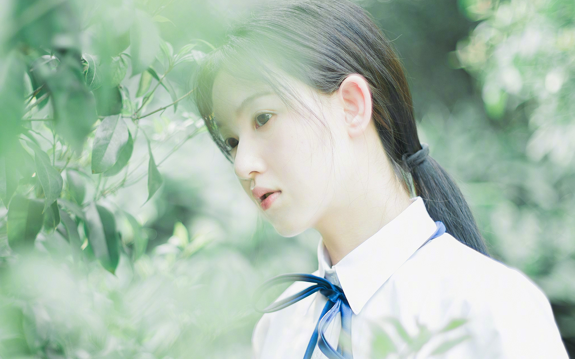 AYX GAME-亚洲市场崛起：F1的新战场，f1赛车亚洲选手