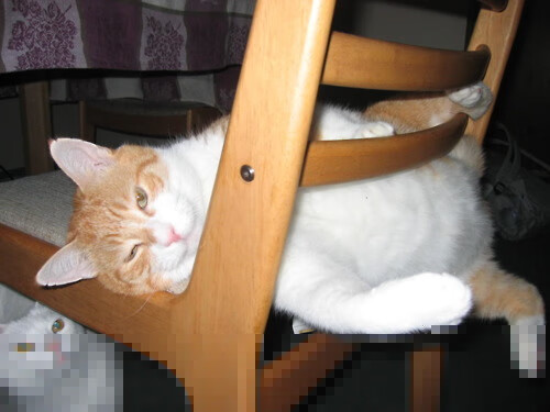 王者荣耀赛事解说风格:分析不同解说的特点与风格,王者荣耀赛事战令