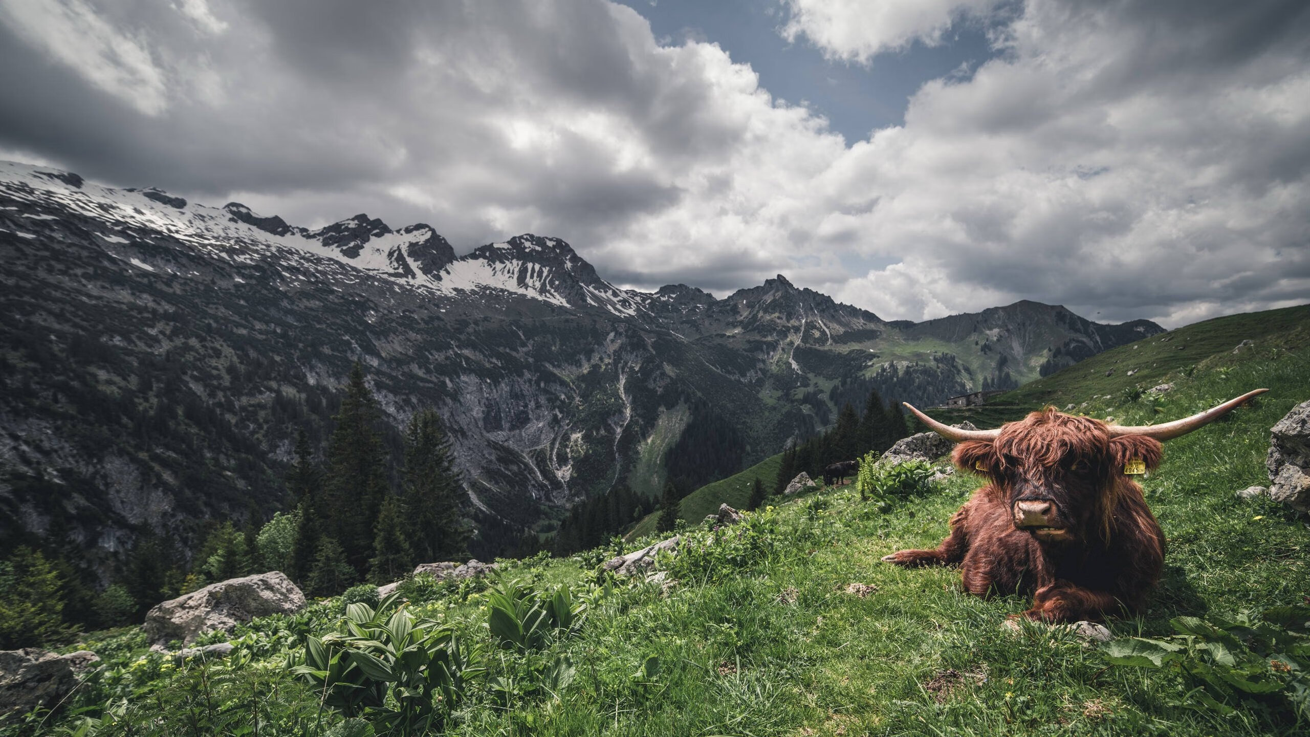 爱游戏娱乐平台-穿越火线 赛季末冲刺赛精彩纷呈，cf季前赛