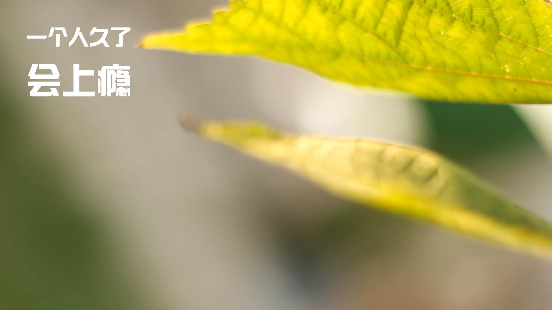 詹姆斯多场“双十”爆发,季后赛状态火热!,詹姆斯多少次双一阵