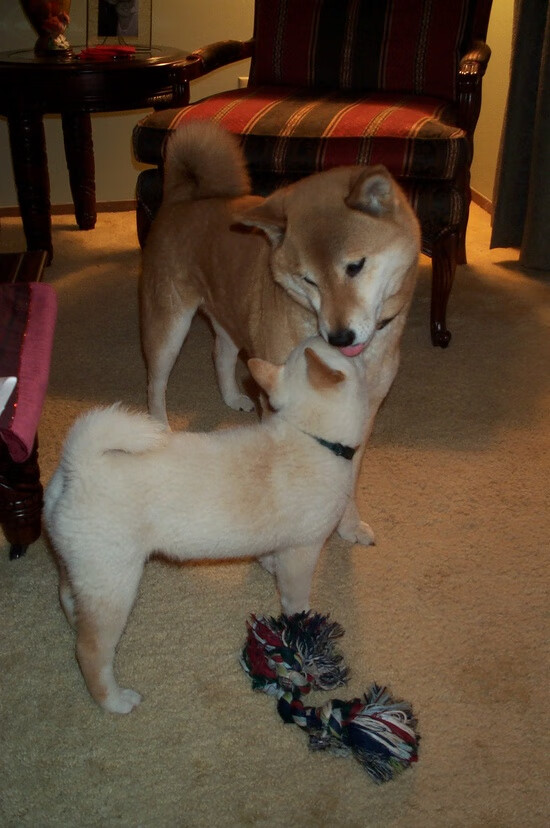 “青春之翼”青少年篮球公益救援行动在云南火热开展，助力青少年健康成长