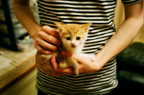 《星际争霸2》WCS：人族、虫族、神族平衡性调整的讨论，星际争霸2 虫族