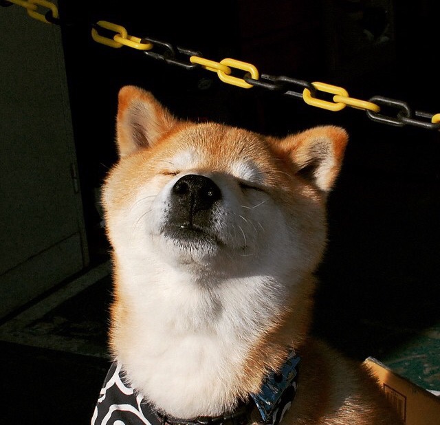 《青少年电竞保护政策:防沉迷与培养双管齐下》,青少年 电竞