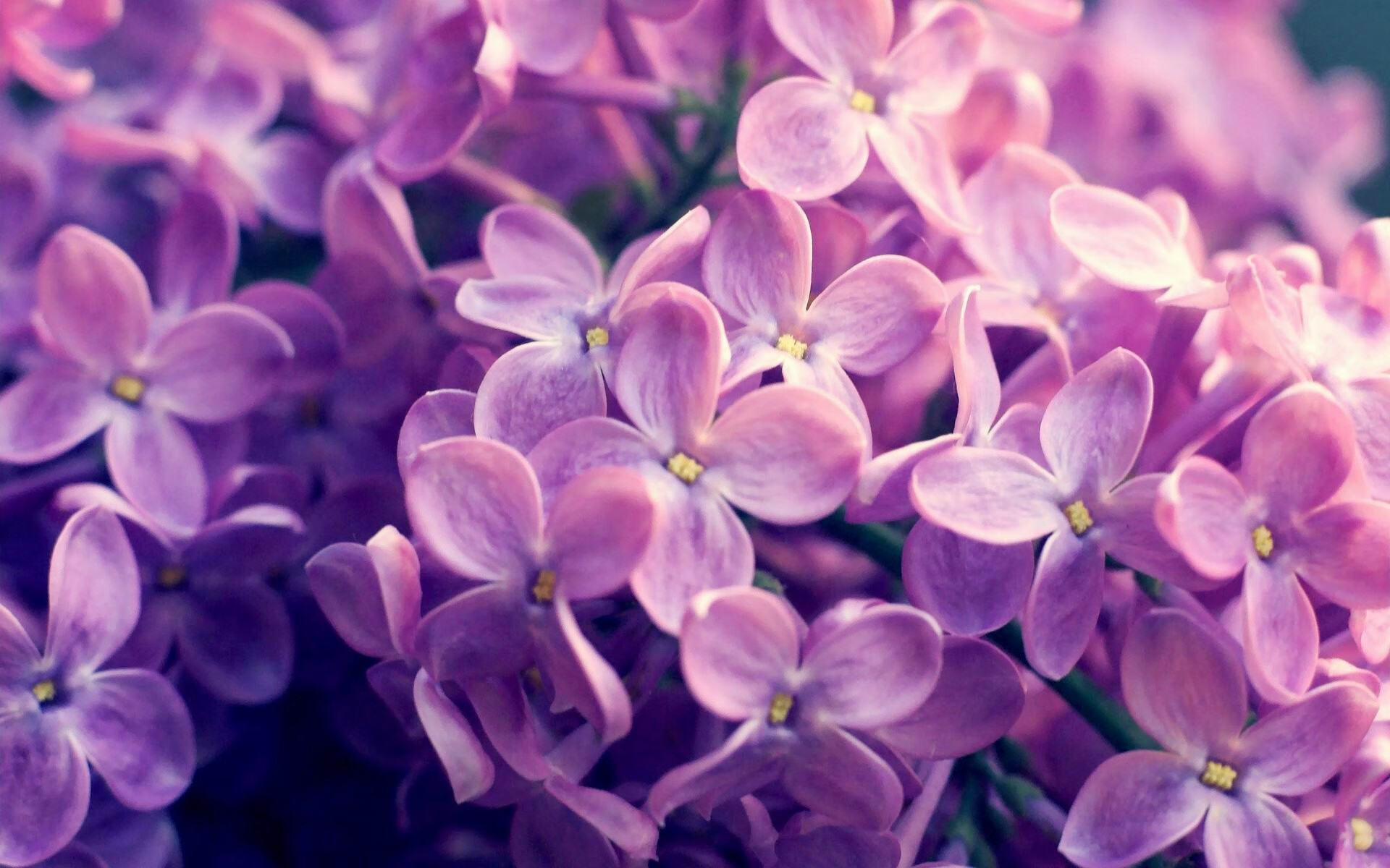 亚眠客场力克图卢兹，取得三连胜，亚眠vs特鲁瓦