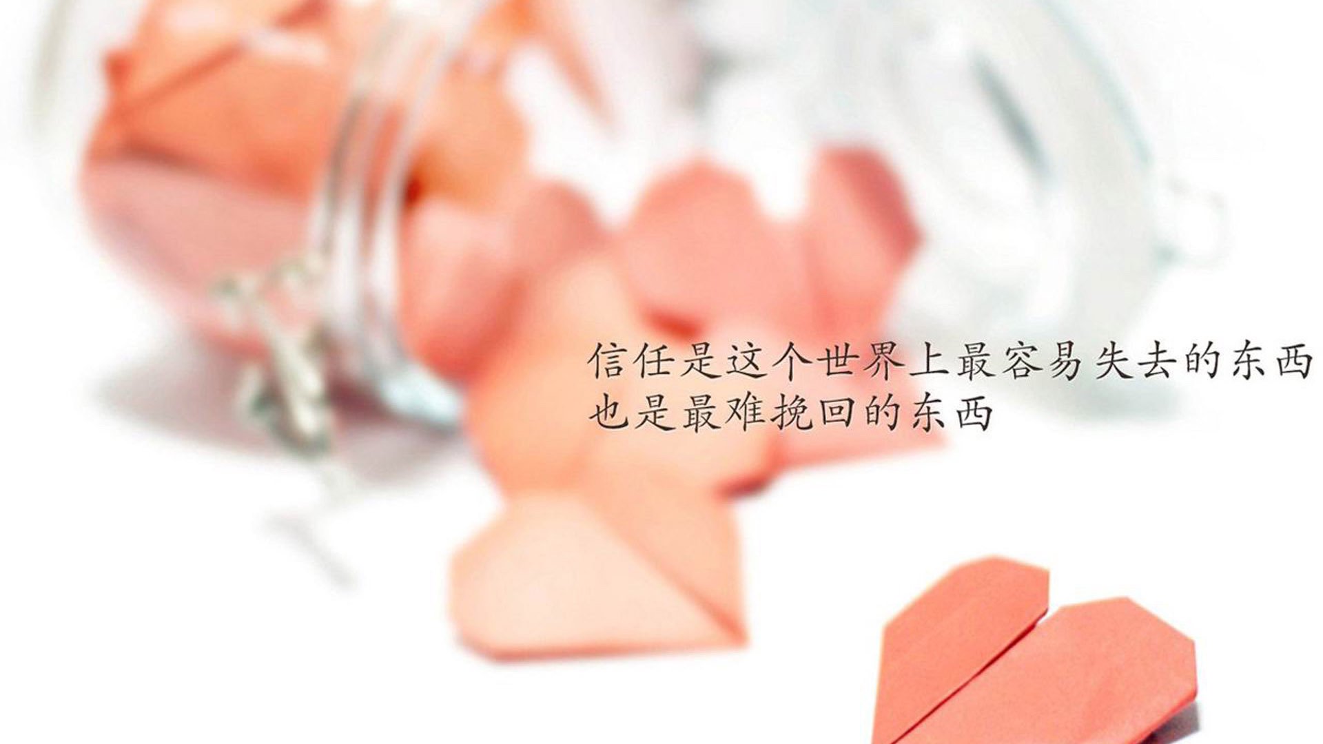 北京首钢球队整体防守稳固,北京首钢队本赛季球员名单