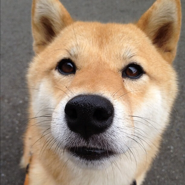 中国足球试点“球迷责任区”，维护赛场秩序，中国足球球迷文化