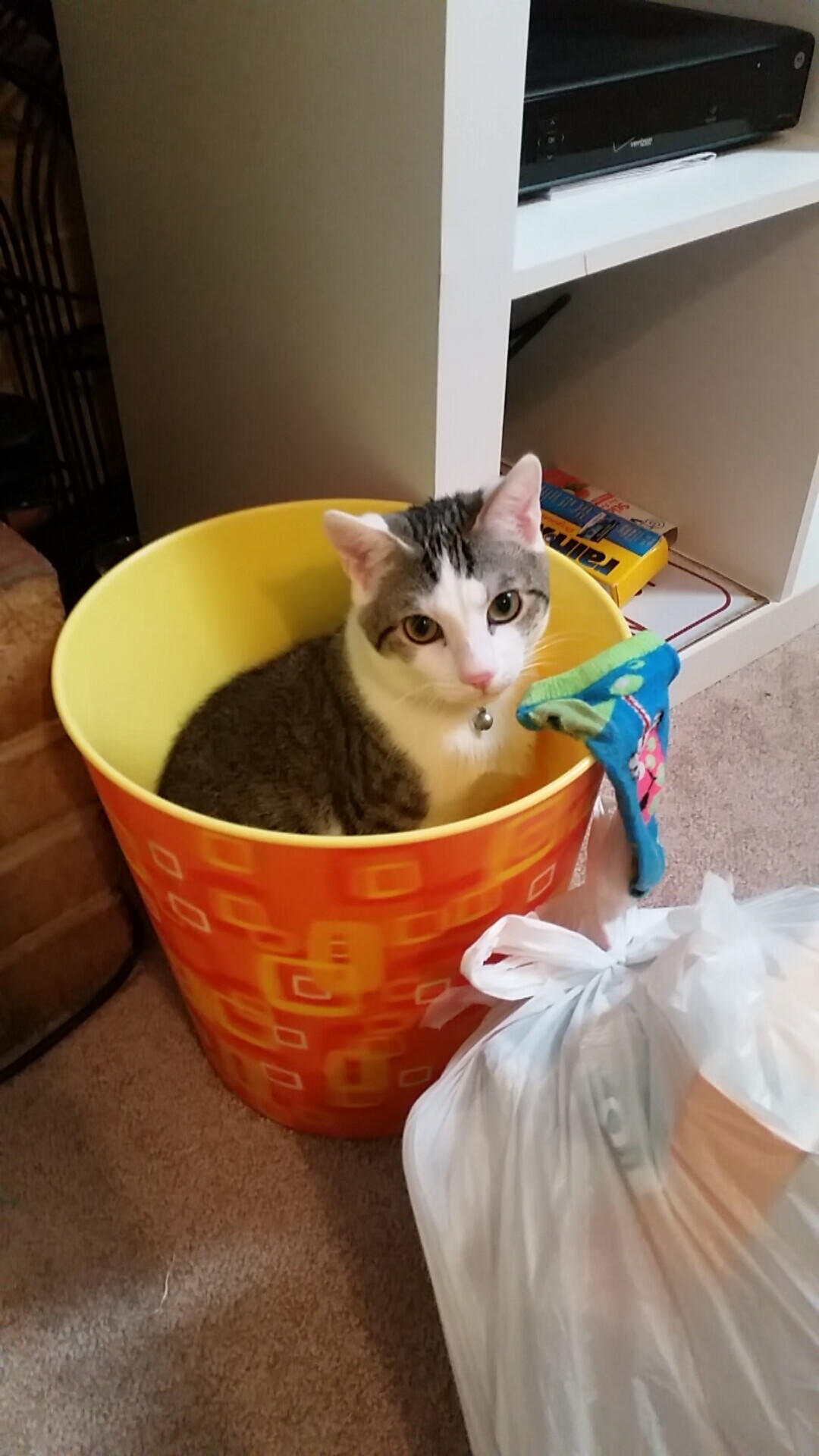 中国足球界推动“互联网+”创新发展新模式,中国足球联赛开始走向职业化