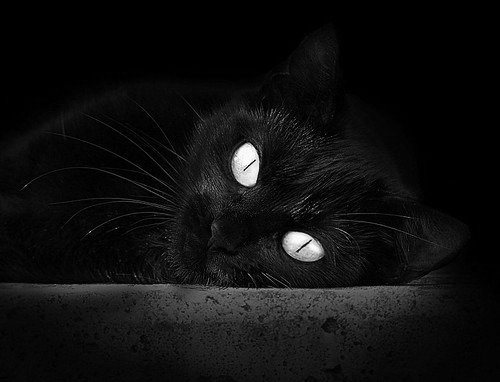 国足实力十足,跻身世界一流球队之列,国足排名第一