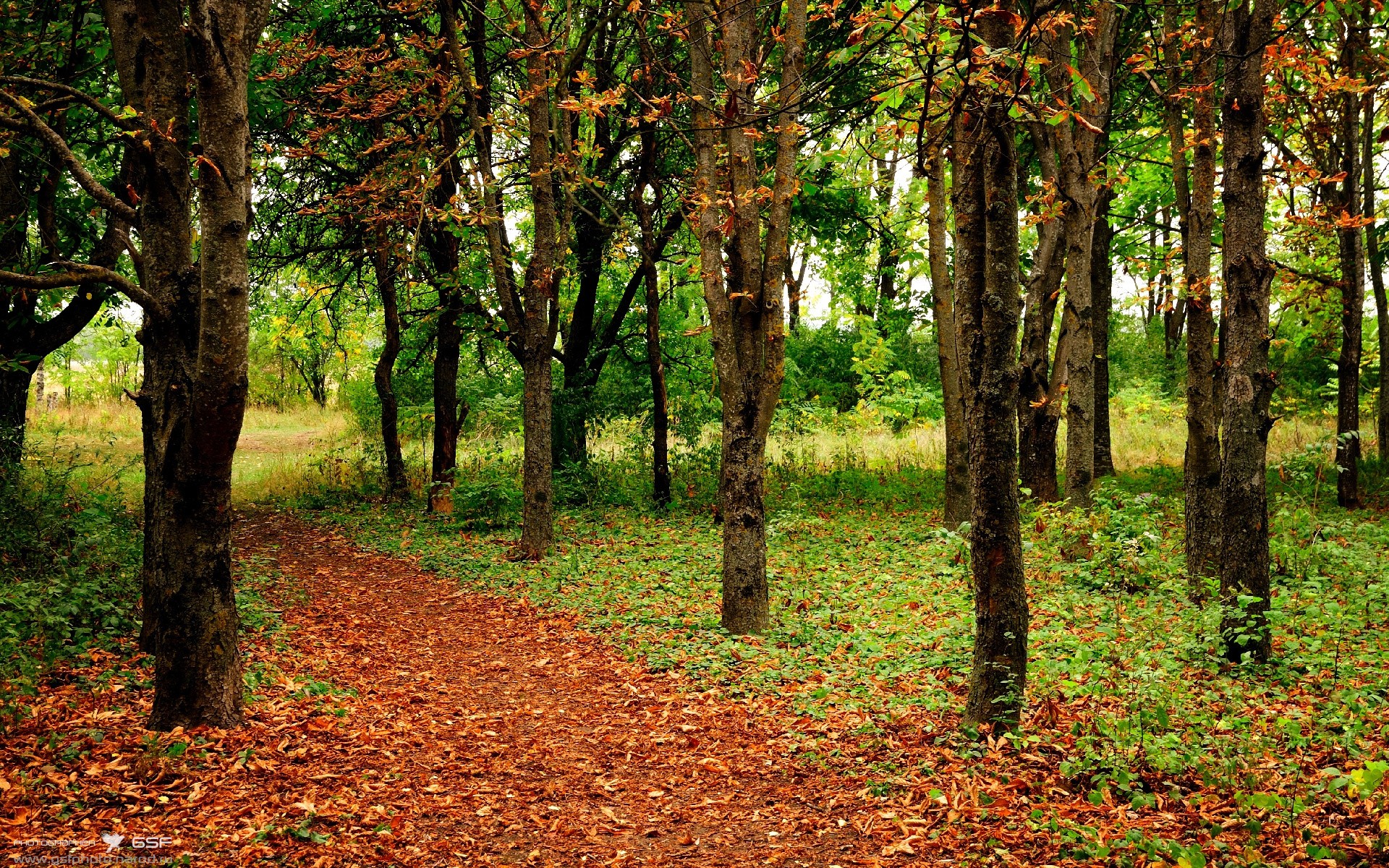 爱游戏官方-乌拉圭队在巴黎奥运会比赛中多次通过二次进攻得分，乌拉圭参加奥运会