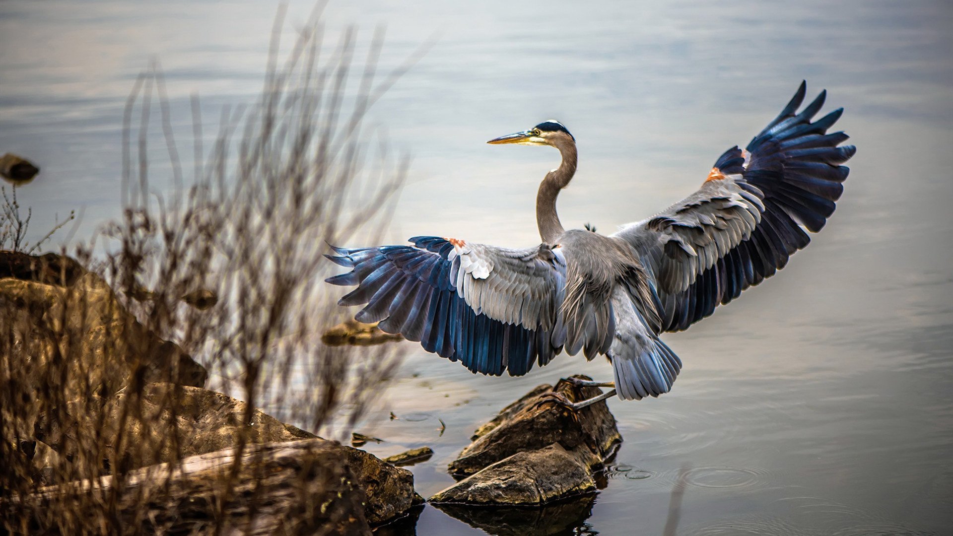 山东高速球队赛季目标明确，山东高速男篮新赛季最新消息