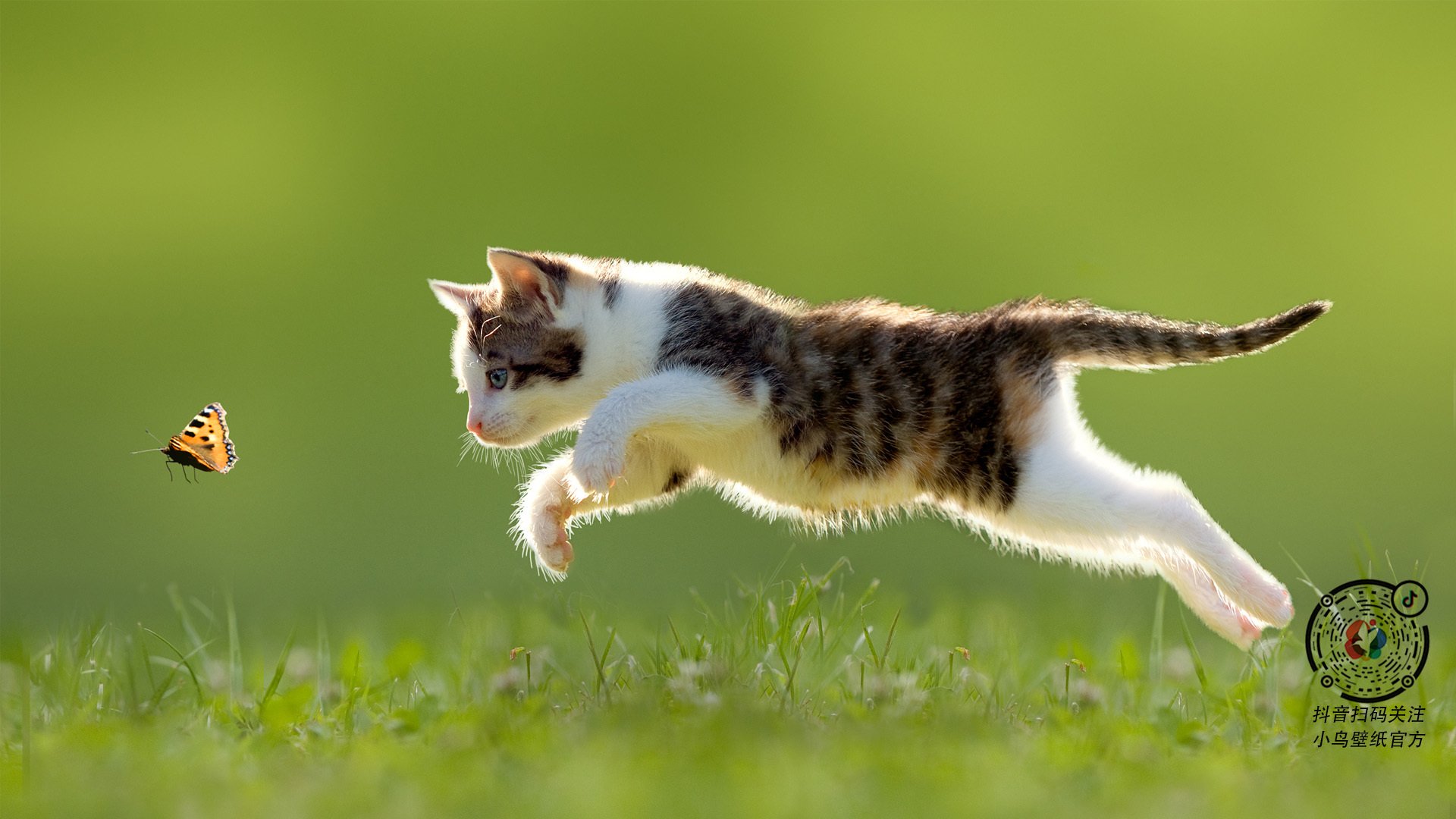 山东高速老将发挥稳定贡献，山东高速任命