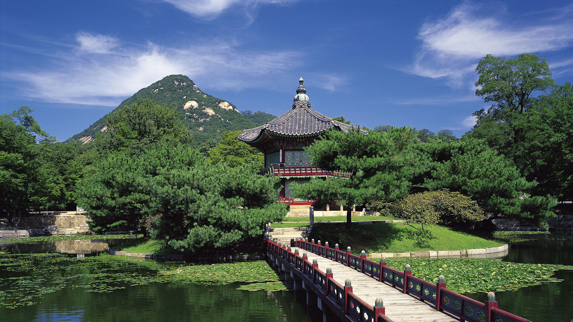 欧洲足球冠军联赛冠军奖杯历史上的传奇，欧洲足球杯冠军是谁