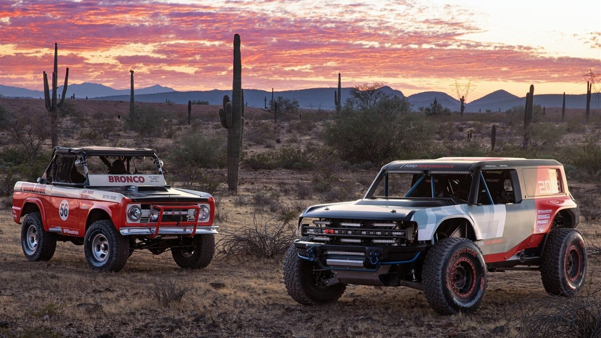 波兰主场大胜北爱尔兰,晋级优势凸显,波兰对战