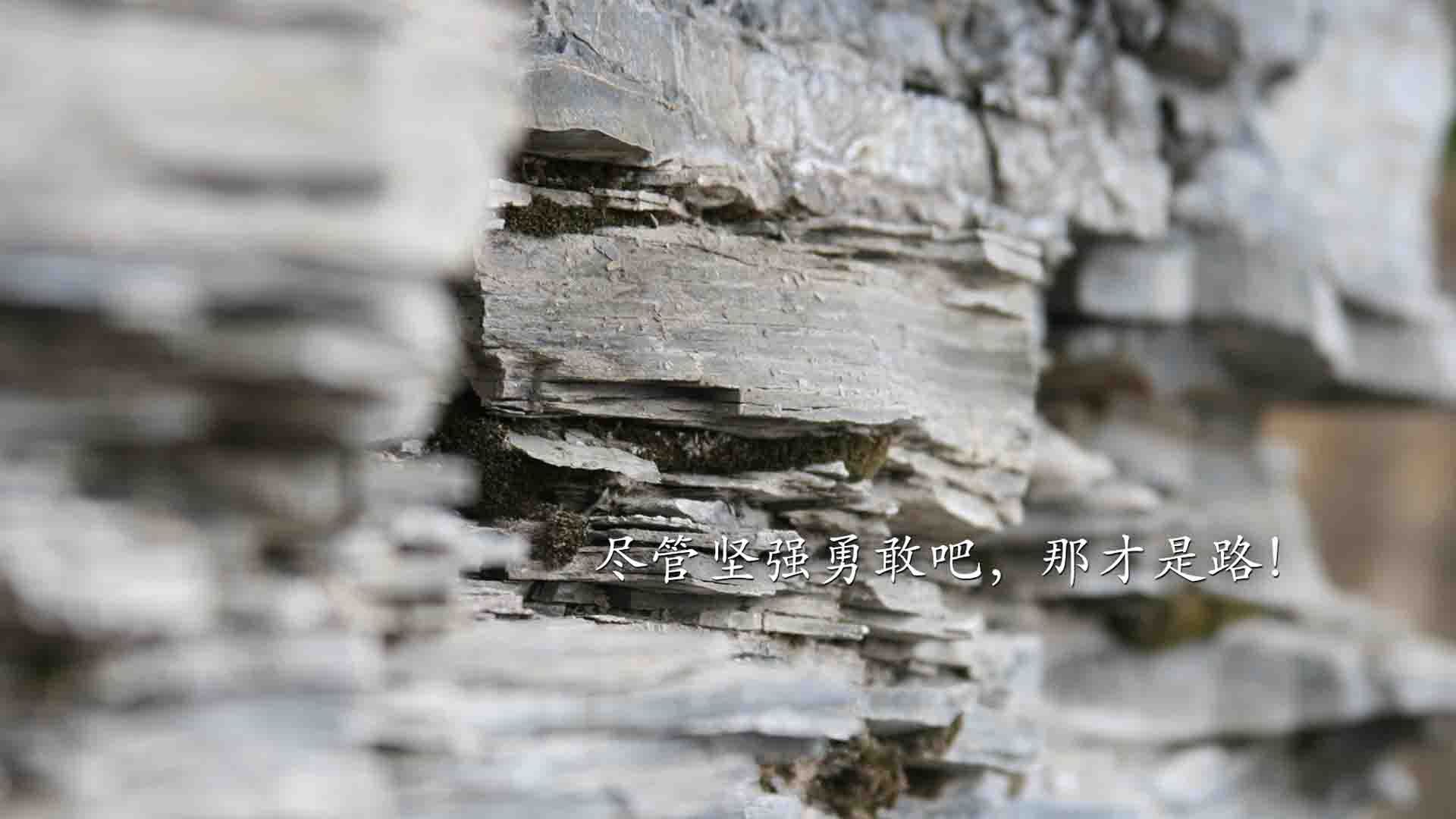 AYX GAMING-电竞电竞赛事策划全流程及多部门协作机制分析，电竞赛事策划流程表