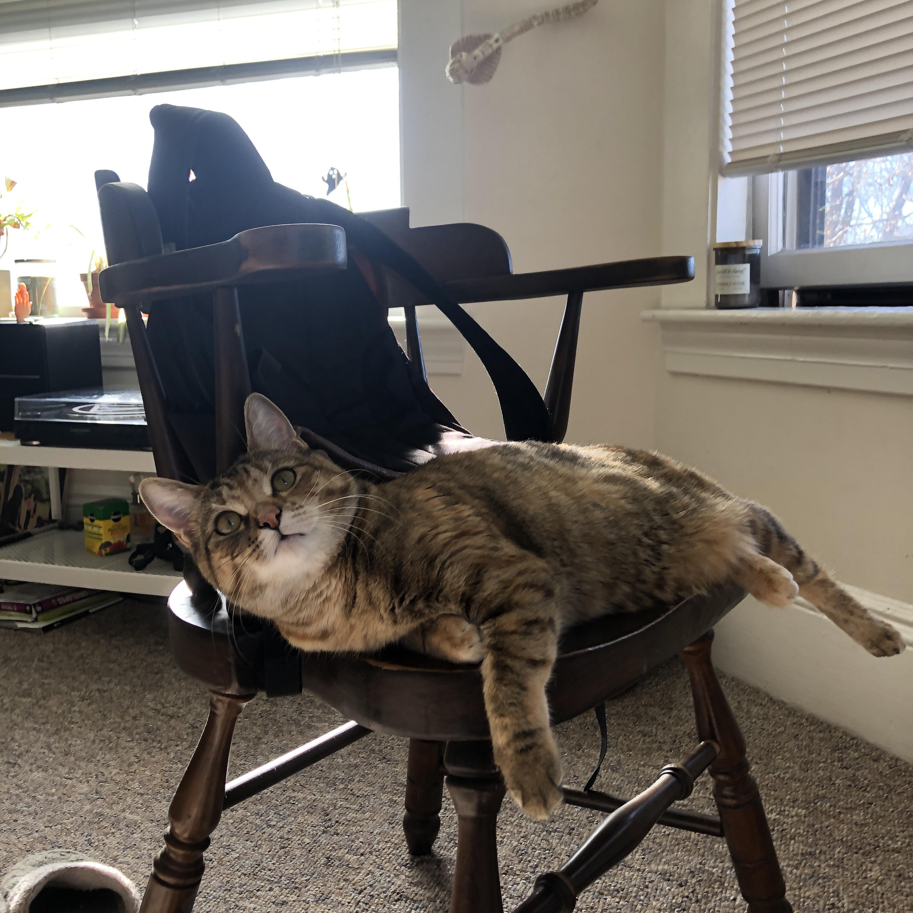 德国女子自行车队在团体追逐赛中获得铜牌，德国自行车比赛