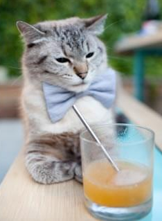 爱游戏体育平台-球场“梦幻组合”，他们的合作让对手闻风丧胆，梦幻足球场