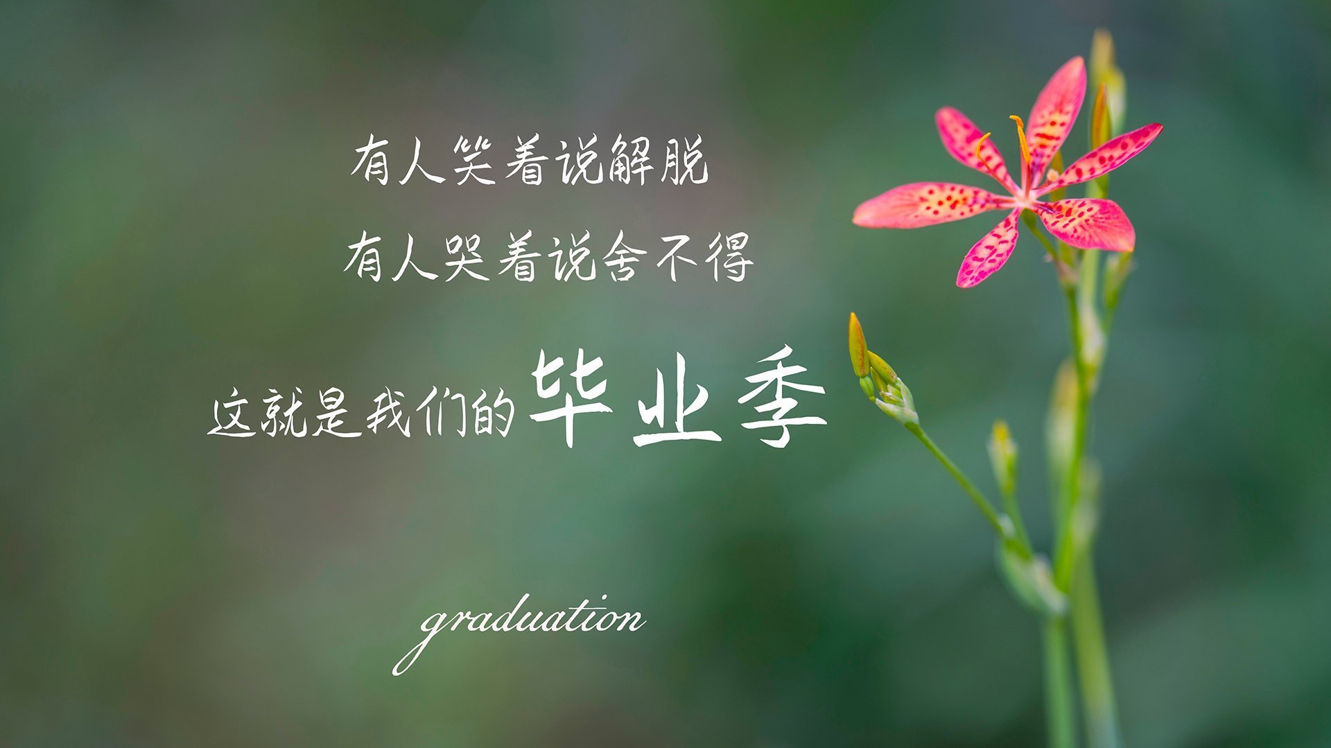 球队运营新思路,年轻化战略成焦点,球队管理方案