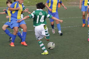 爱游戏app下载-中国足球赛事直播流量与关注度指数追踪，中国足球关注度数据