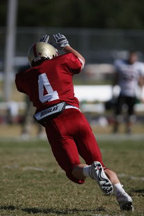 爱游戏体育app-中超球队年度替补球员战术执行效率统计，中超替补年薪