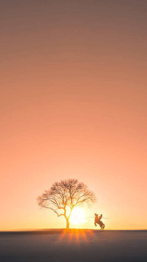 体育赛事运营管理智能化解决方案,体育赛事运营是什么工作