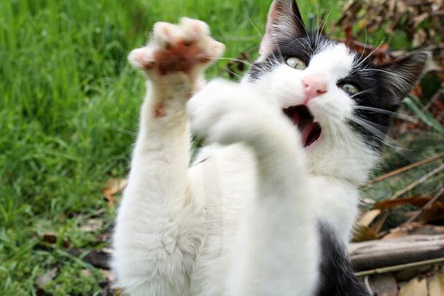 全国青少年乒乓球少年冠军赛在济南开启佳话,全国青少年乒乓球公开赛