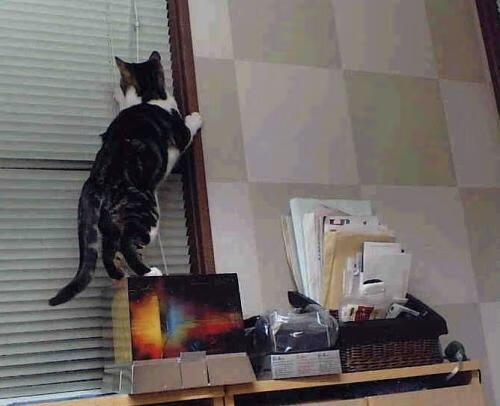 国足控场核心球员换人节点与比分关系,国足换人名额