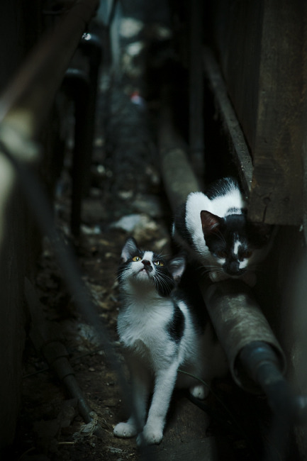 爱游戏官方网站-足协高层谈发展目标强调稳定优先，足协做出重要决定