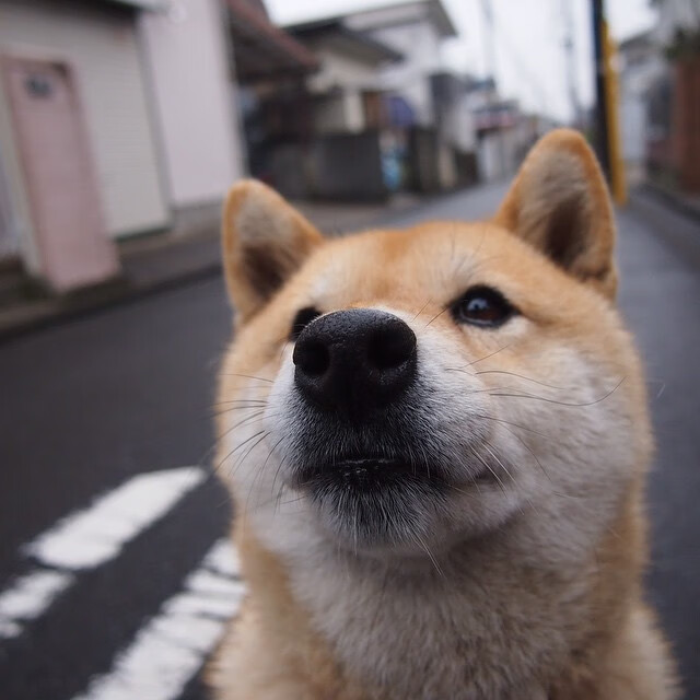AYX官网-“曼城阵容豪华，誓言捍卫欧冠荣耀”