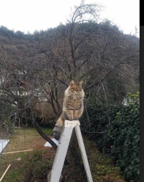 体能储备合理，后半程体速回落小，体能储备期