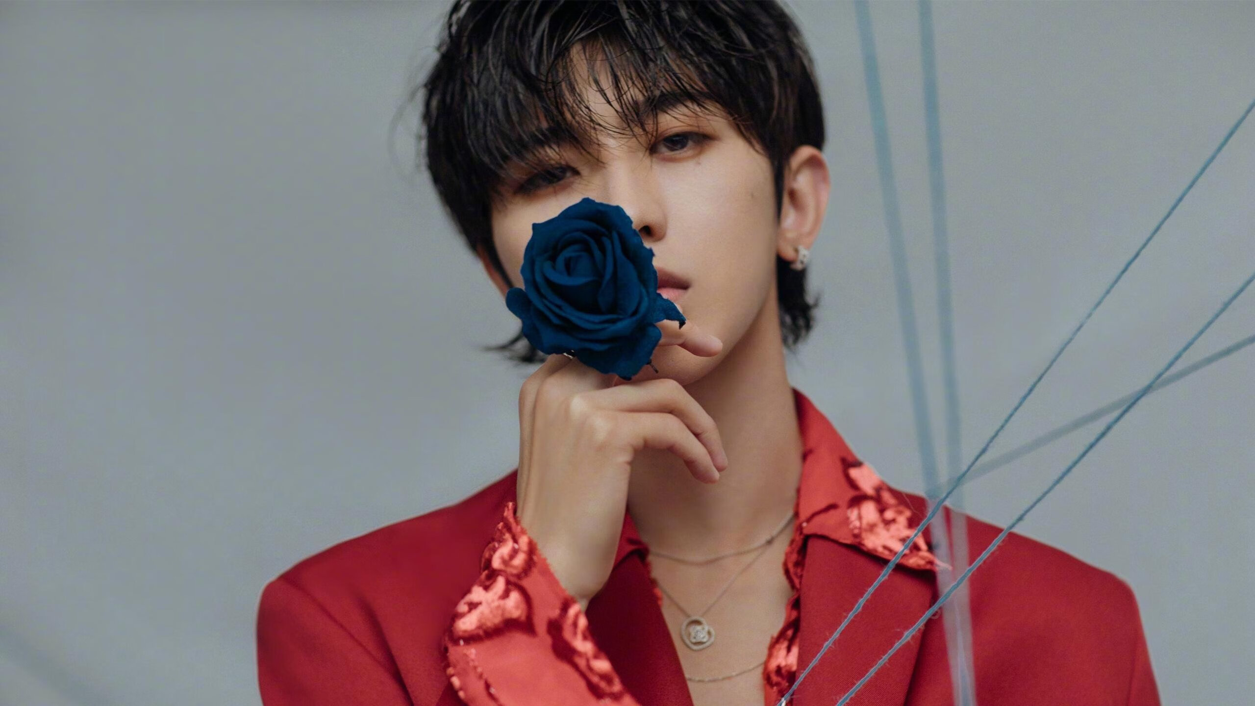 北爱尔兰队喜获欧洲杯正赛席位,实力强劲勇敢前行,只有两名球员曾在欧洲杯上为北爱尔兰进球