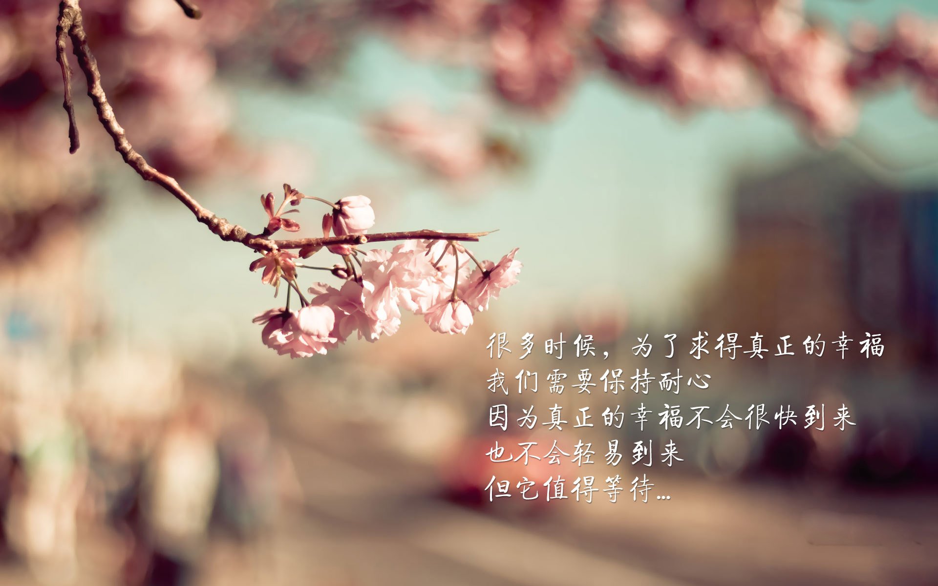 年轻后卫如何挑战豪门稳定防线地位,十大年轻中后卫