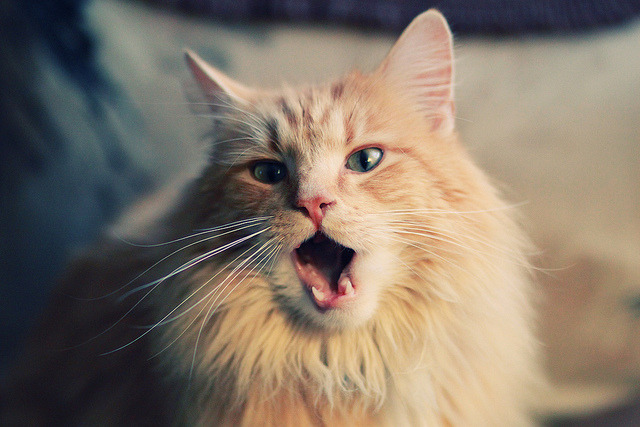 国际赛场惊现奇迹,精彩不容错过,国际赛场惊现奇迹,精彩不容错过什么意思