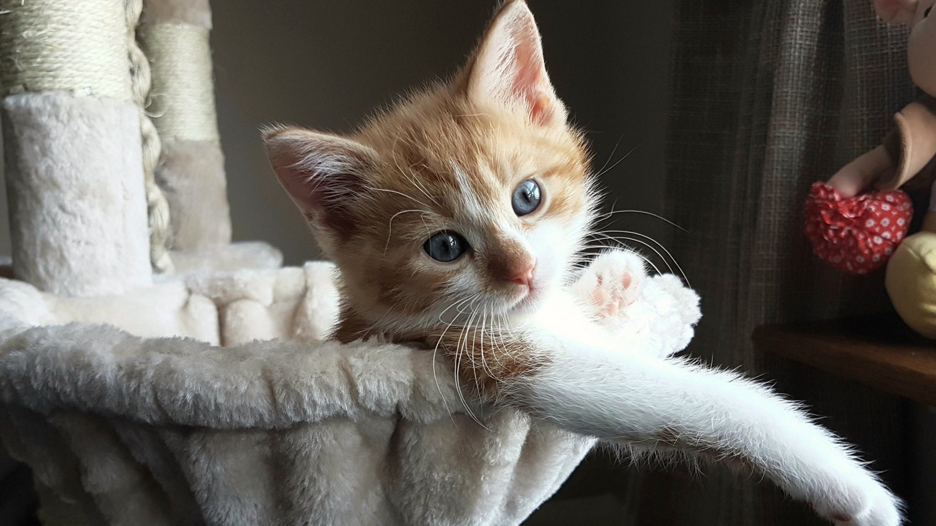 爱游戏下载-大连人年轻球员崭露头角，大连人球员名单