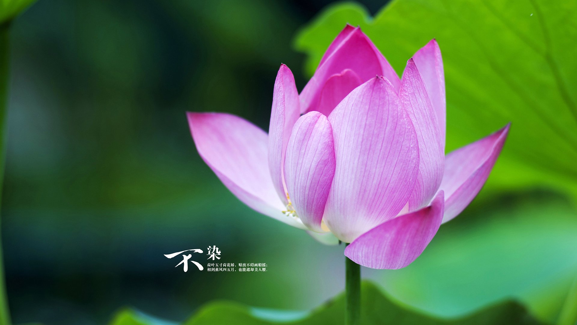 爱游戏登录入口-新疆飞虎球队主教练战术调整有效，cba新疆飞虎