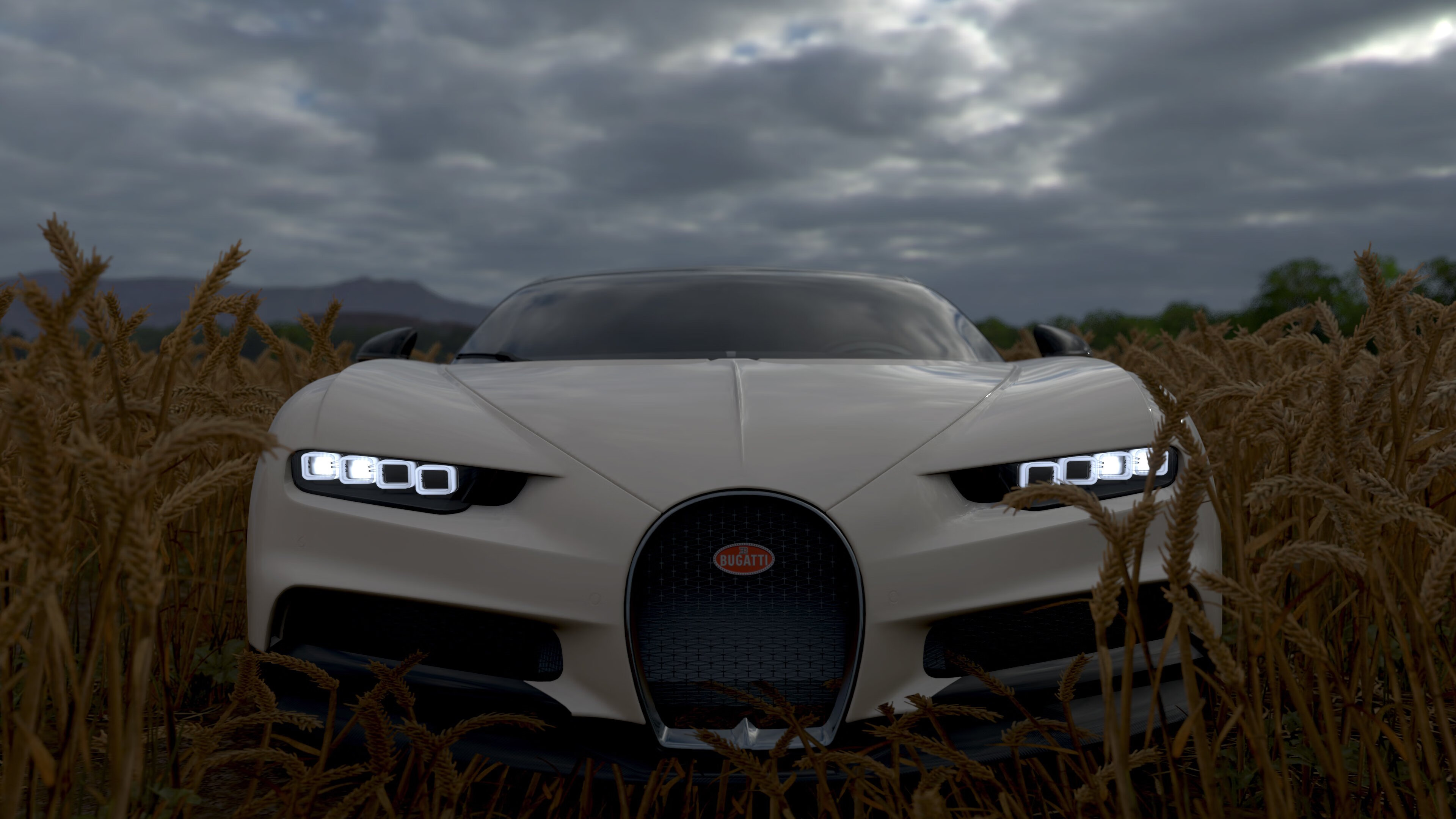 体育场馆服务质量提升,体育场馆服务质量提升方案