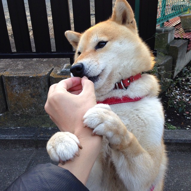 篮球教学基地建立师资轮岗制度丰富教学风格，篮球教育培训