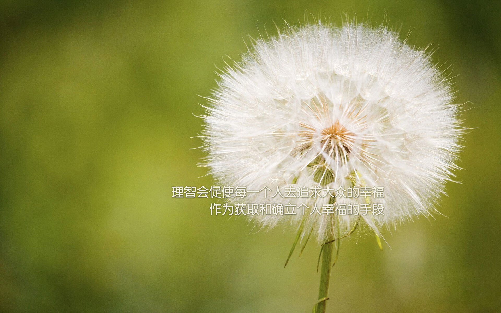 爱游戏体育app-英超裁判组引入语境回溯技术提升争议判罚沟通清晰度，英超联赛裁判