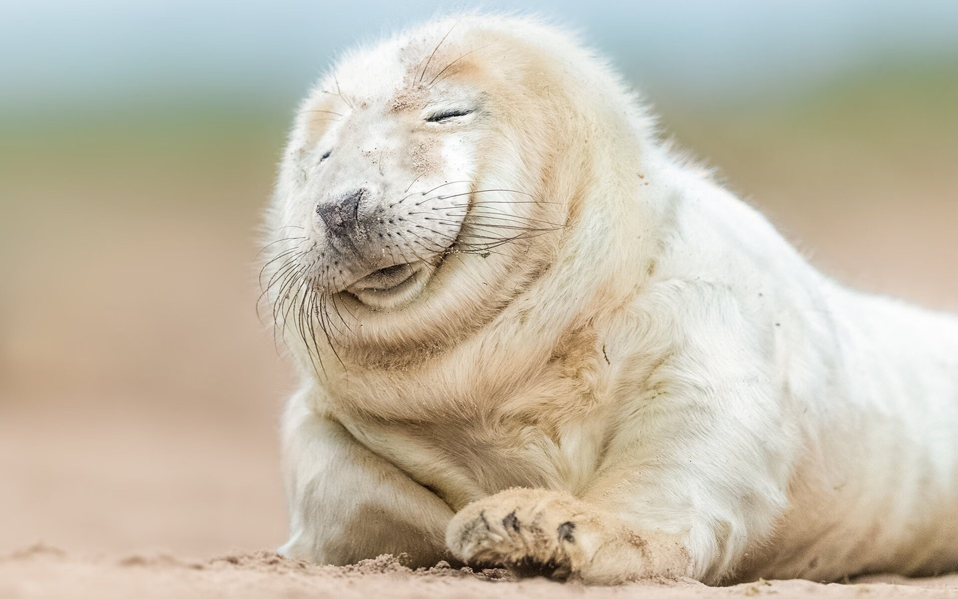 中国三人篮球女队体能训练效果明显，中国女子三人篮球水平