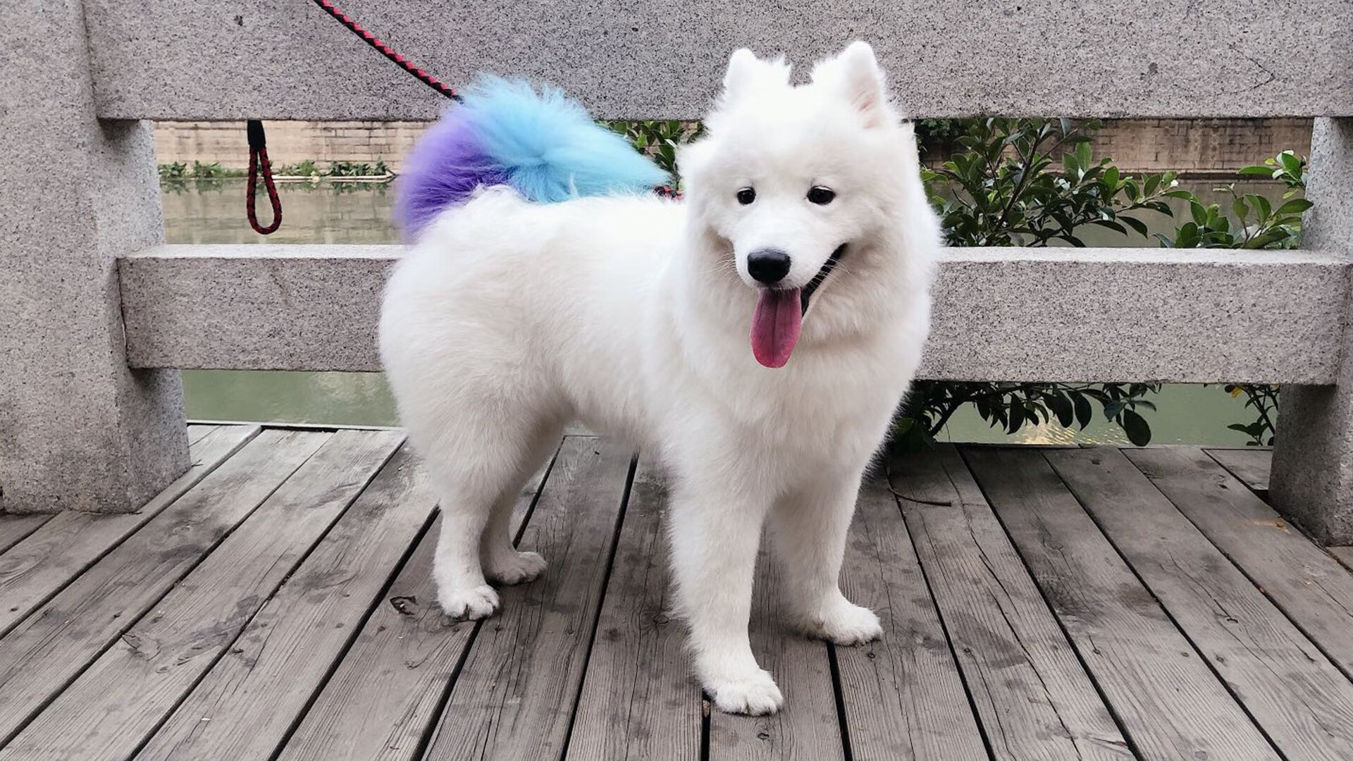 亚洲杯国足平局 球迷理性评价比赛,亚洲足球杯中国队