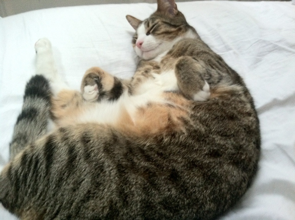 全国攀岩公开赛高水平选手齐聚一堂，攀岩资格赛