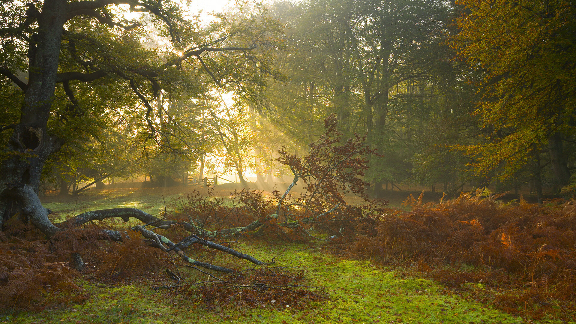 博卡尝试通过节奏变化打乱拜仁节奏未果,博卡的主场是哪个球场