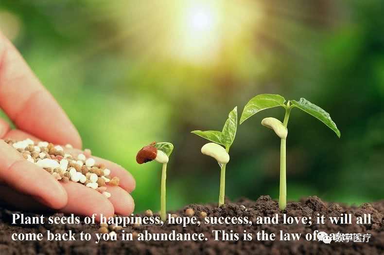 关于爱游戏体育:LaLiga的历史数据分析：成功的规律的信息