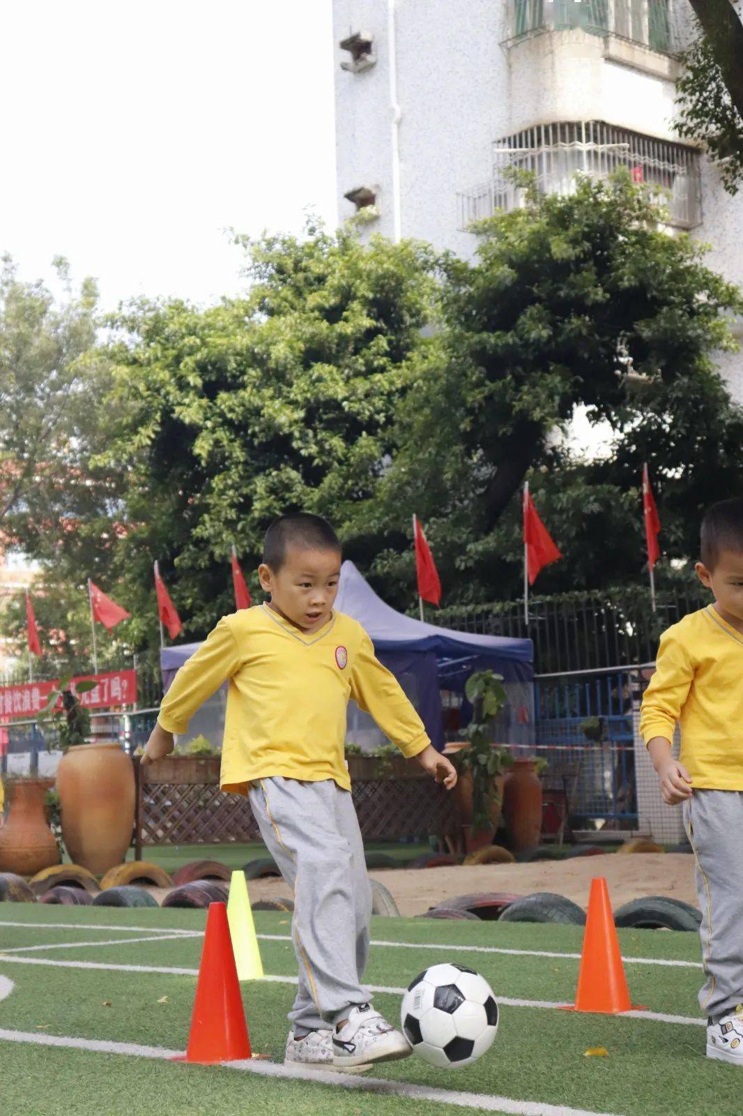 爱游戏：从教练角度看运动员的成长与发展的简单介绍